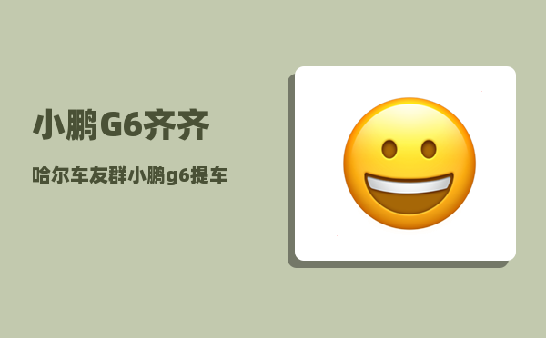 小鹏G6齐齐哈尔车友群_小鹏g6提车注意事项-图1