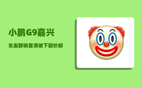 小鹏G9嘉兴车友群_销量滑坡下股价却暴涨47-图1