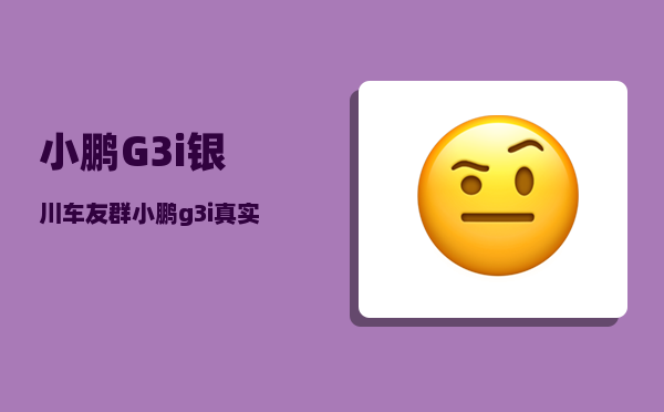 小鹏G3i银川车友群_小鹏g3i真实故障率-图1