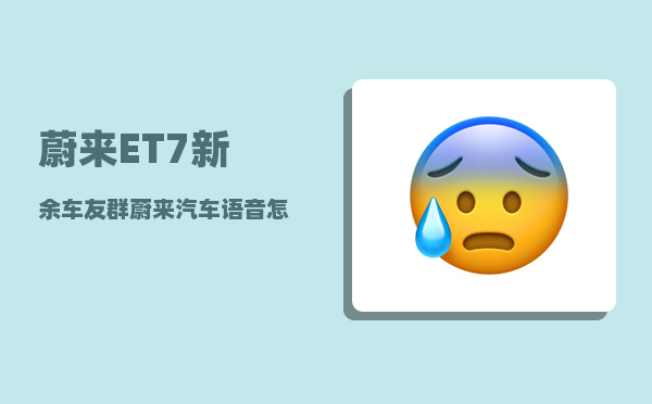 蔚来ET7新余车友群_蔚来汽车语音怎么呼叫-图1