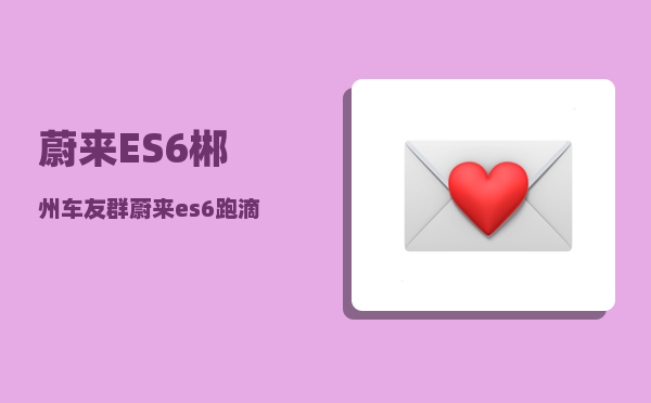 蔚来ES6郴州车友群_蔚来es6车内必备的小配件-图1