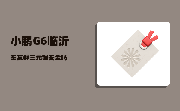 小鹏G6临沂车友群_三元锂安全吗-图1