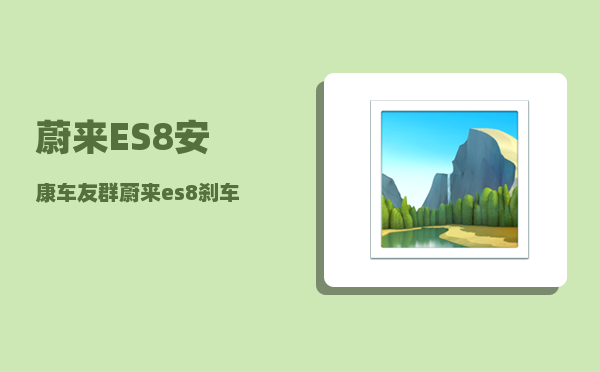 蔚来ES8安康车友群_蔚来es8刹车异响-图1