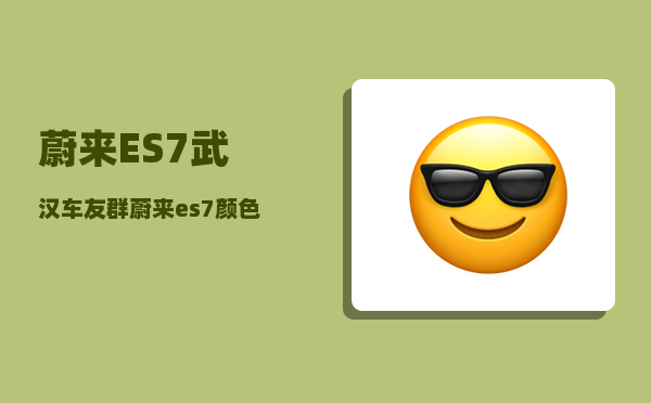 蔚来ES7武汉车友群_蔚来es7颜色选择-图1