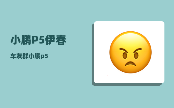 小鹏P5伊春车友群_小鹏p5-图1