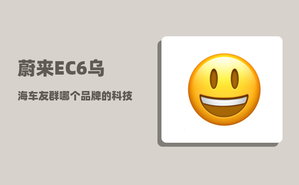 蔚来EC6乌海车友群_哪个品牌的科技含量比较高-图1