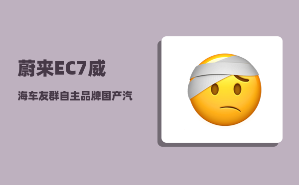 蔚来EC7威海车友群_自主品牌国产汽车的一哥是谁-图1