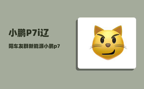 小鹏P7i辽阳车友群_新能源小鹏p7六方位介绍法的五个重点-图1
