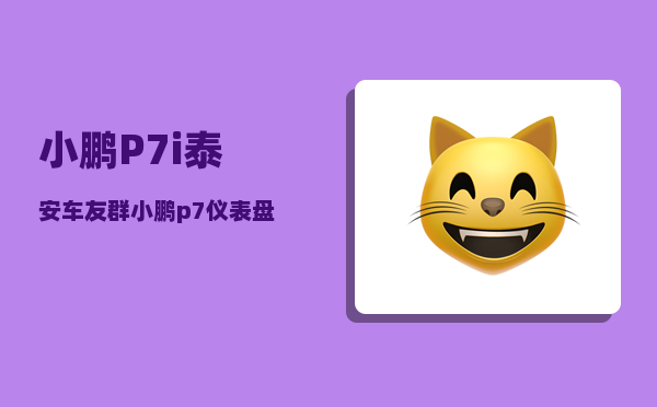 小鹏P7i泰安车友群_小鹏p7仪表盘主题切换-图1