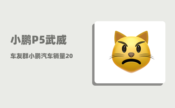 小鹏P5武威车友群_小鹏汽车销量2021-图1