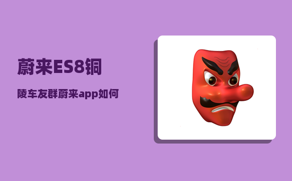 蔚来ES8铜陵车友群_蔚来app如何查看行车轨迹-图1