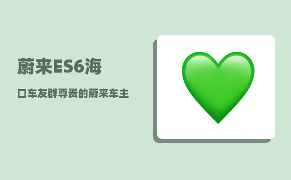 蔚来ES6海口车友群_尊贵的蔚来车主欢迎语-图1
