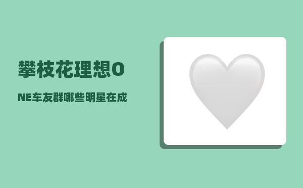 攀枝花理想ONE车友群_哪些明星在成都开过演唱会-图1