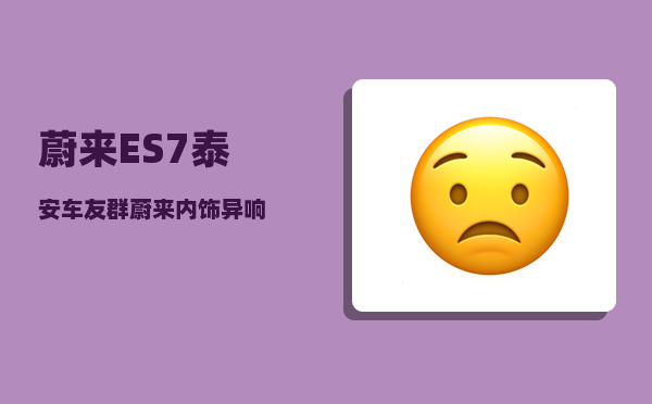 蔚来ES7泰安车友群_蔚来内饰异响-图1