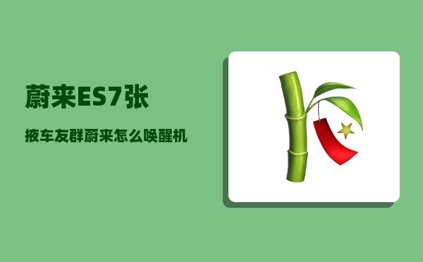 蔚来ES7张掖车友群_蔚来怎么唤醒机器人-图1