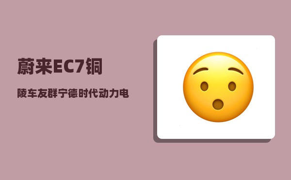 蔚来EC7铜陵车友群_宁德时代动力电池市场占有率-图1