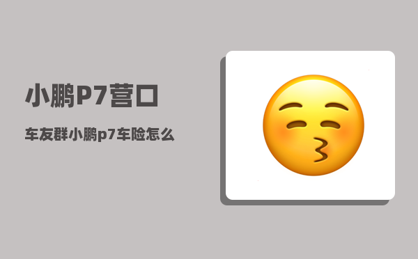 小鹏P7营口车友群_小鹏p7车险怎么买-图1