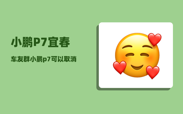 小鹏P7宜春车友群_小鹏p7用什么电脑检测故障码-图1
