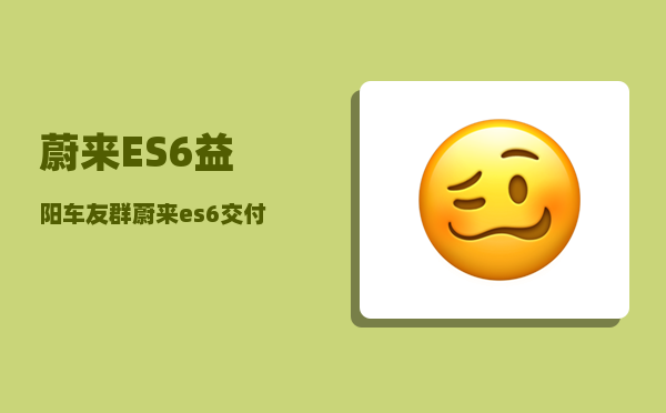 蔚来ES6益阳车友群_蔚来es6怎么下载自己想用的app-图1