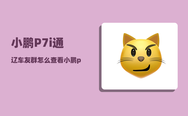 小鹏P7i通辽车友群_怎么查看小鹏p7的配置-图1