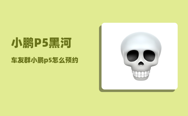 小鹏P5黑河车友群_小鹏p5怎么预约充电-图1
