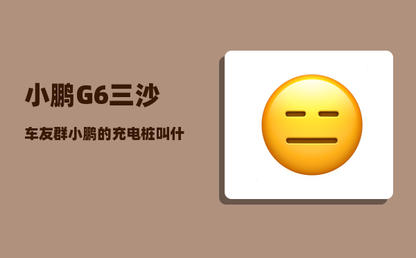 小鹏G6三沙车友群_小鹏的充电桩叫什么-图1