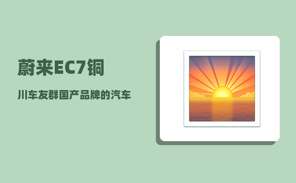 蔚来EC7铜川车友群_国产品牌的汽车到底哪个品牌实力最强-图1