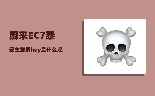 蔚来EC7泰安车友群_hey是什么牌子-图1