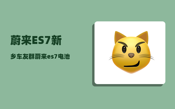 蔚来ES7新乡车友群_蔚来es7电池技术是什么-图1