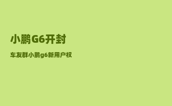 小鹏G6开封车友群_小鹏g6新用户权益-图1