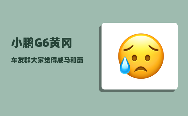 小鹏G6黄冈车友群_大家觉得威马和蔚来哪个更有前景-图1