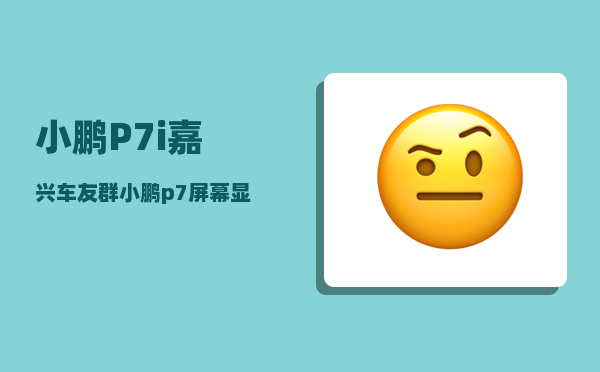 小鹏P7i嘉兴车友群_小鹏p7屏幕显示一条红线是什么情况-图1