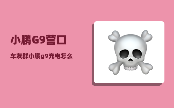小鹏G9营口车友群_小鹏g9充电怎么解决-图1