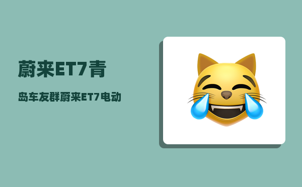 蔚来ET7青岛车友群_蔚来ET7电动车质量咋样-图1