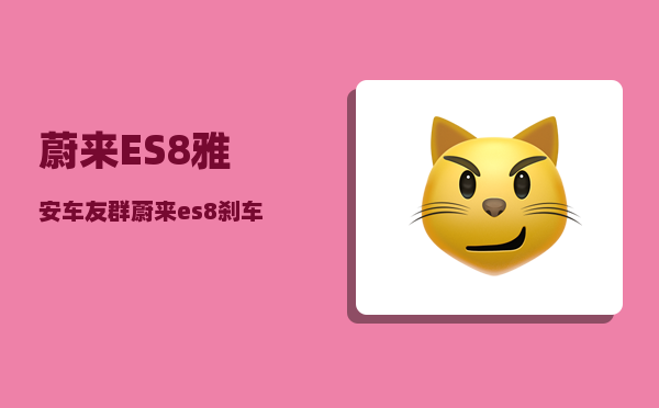 蔚来ES8雅安车友群_蔚来es8刹车异响-图1