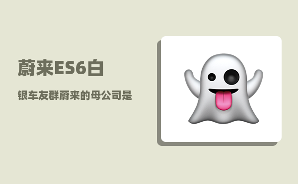 蔚来ES6白银车友群_蔚来的母公司是谁-图1