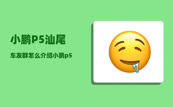小鹏P5汕尾车友群_怎么介绍小鹏p5-图1