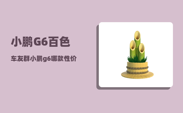 小鹏G6百色车友群_小鹏g6中创新航电池怎么样-图1