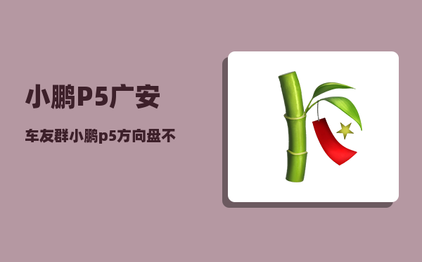 小鹏P5广安车友群_小鹏p5方向盘不能前后调节吗-图1