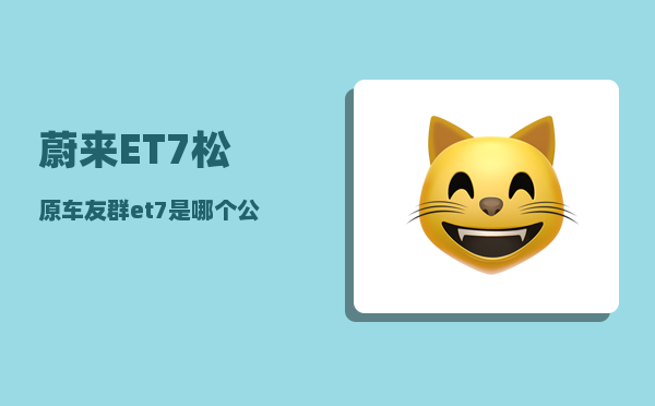 蔚来ET7松原车友群_et7是哪个公司生产的-图1