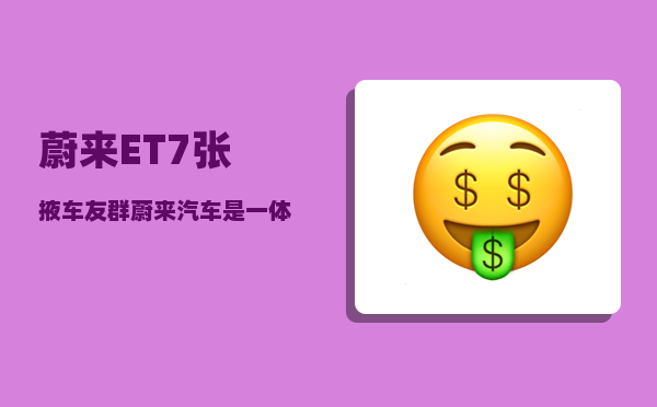 蔚来ET7张掖车友群_蔚来汽车是一体成型吗-图1