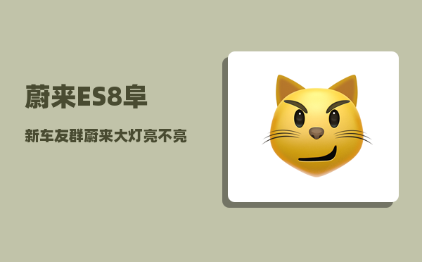 蔚来ES8阜新车友群_蔚来大灯亮不亮-图1