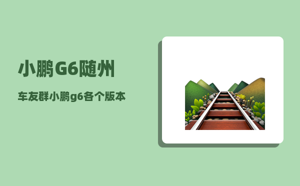 小鹏G6随州车友群_小鹏g6各个版本的区别-图1