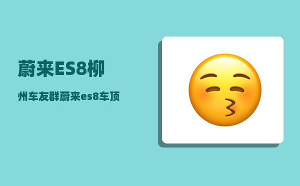 蔚来ES8柳州车友群_蔚来es8车顶探头怎么贴-图1