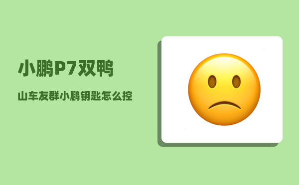 小鹏P7双鸭山车友群_小鹏钥匙怎么控制前进-图1