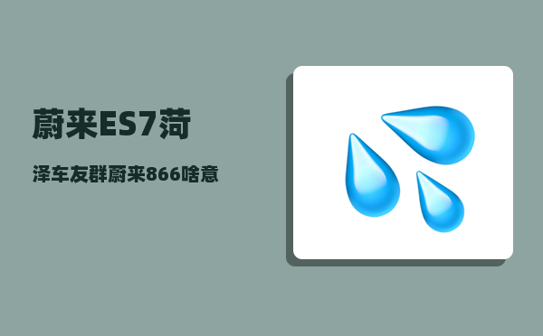 蔚来ES7菏泽车友群_蔚来866啥意思-图1