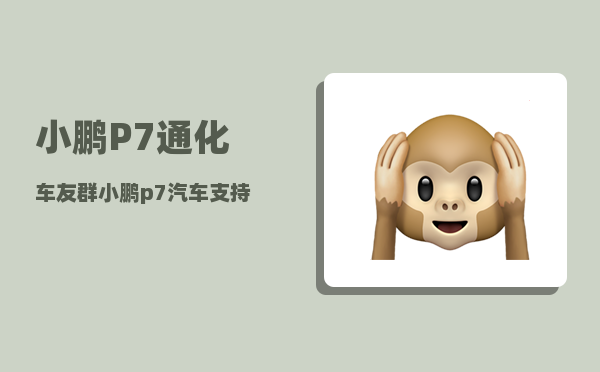 小鹏P7通化车友群_小鹏p7汽车支持手机互联吗-图1