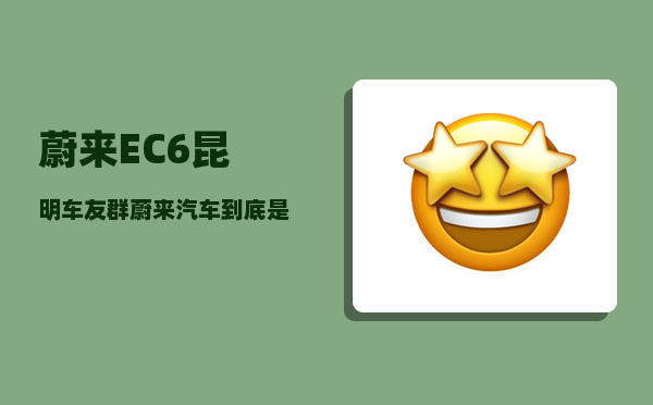 蔚来EC6昆明车友群_蔚来汽车到底是一家什么样的公司-图1