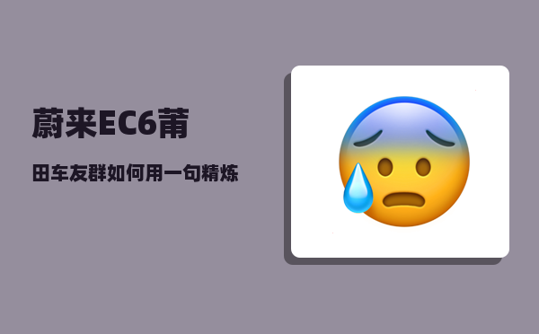 蔚来EC6莆田车友群_如何用一句精炼的话总结各汽车品牌的特点-图1