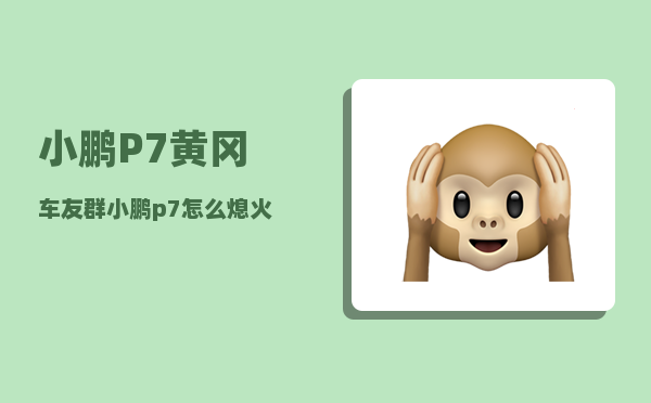 小鹏P7黄冈车友群_小鹏p7怎么熄火-图1